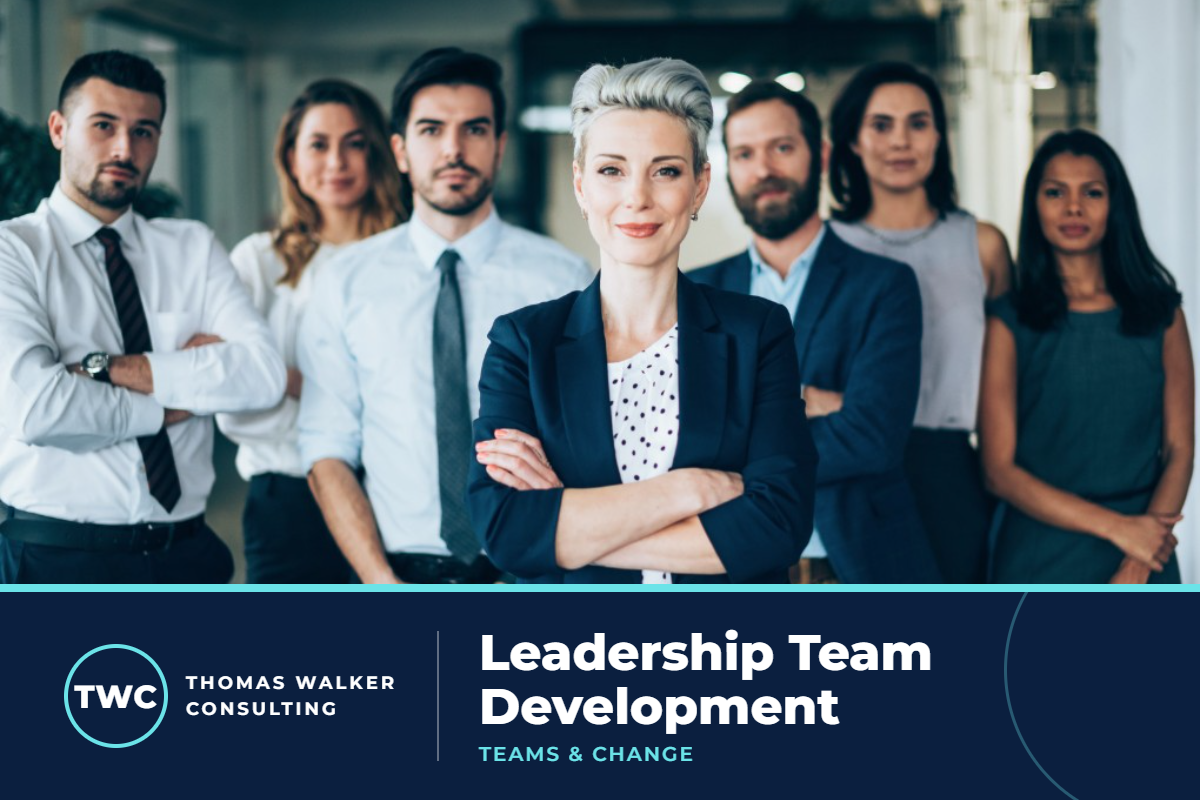 Leadership Team Development course artwork