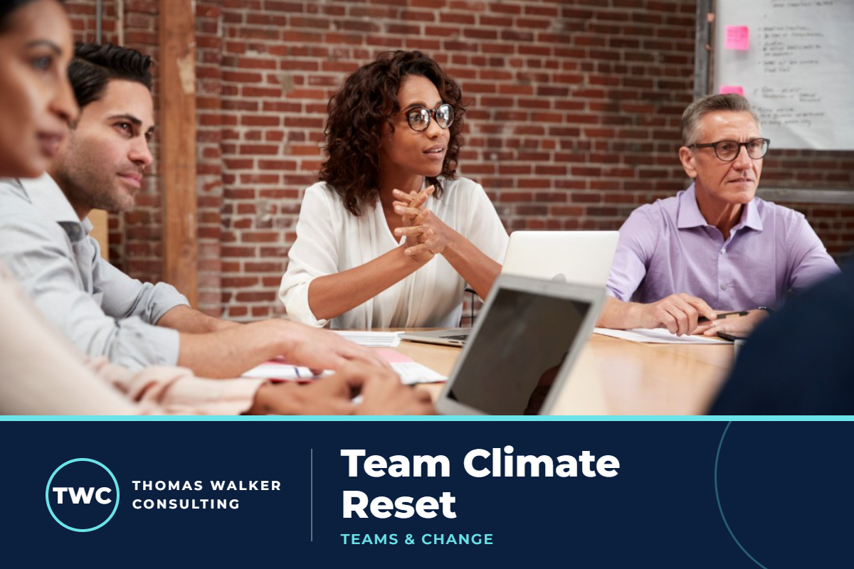 Team Climate Reset course artwork